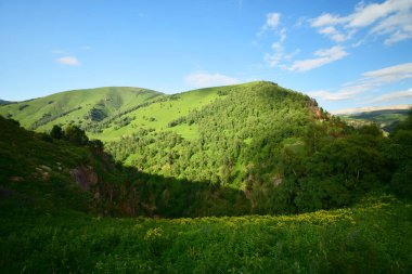  Kuzey Kafkasya dağlarında Pinus kochiana çamı ve Betula raddeana huş ağacı ile yeşil dağları olan dağlık arazi manzarası