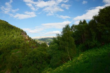 Kuzey Kafkasya 'nın dağlarında Pinus kochiana çamı ve Betula raddeana huş ağaçlarıyla kaplı Dzhily-Su arazisindeki yeşil dağların manzarası.                               