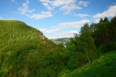 Kuzey Kafkasya 'nın dağlarındaki Pinus kochiana çamı ve Betula raddeana huş ağaçlarıyla Dzhily-Su arazisindeki yeşil dağların manzarası                               