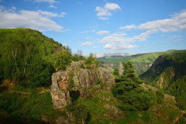  Dzhily-Su Alp Vadisi 'nin Panorama' sı Pinus kochiana çamı ve Betula raddeana huş ağacı ile yazın Kuzey Kafkasya dağlarında                              