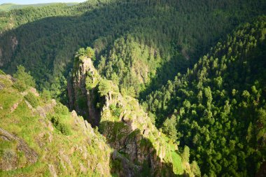  Yazın Pinus kochiana ile Kuzey Kafkasya dağlarında Dzhily-Su yolu manzarası                              