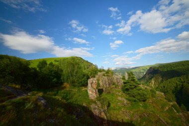 Kuzey Kafkasya dağlarında Dzhily-Su dağ geçidi ve Pinus kochiana çamı.                               