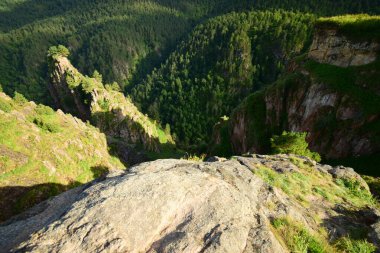  Kuzey Kafkasya dağlarında Pinus kochiana çamı olan Dzhily-Su yaz vadisinin manzarası.                              