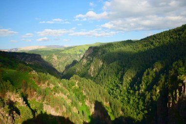  Kuzey Kafkasya 'nın dağlarındaki yüksek dağ geçidi Dzhily-Su ve Pinus kochiana çamı.                              
