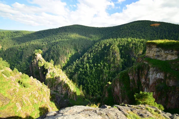 Панорама Гір Дзілі Сосною Pinus Kochiana Влітку Горах Північного Кавказу — стокове фото