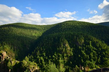  Kuzey Kafkasya 'daki Dzhily-Su platosundan Pinus kochiana ve huş ağacı Betula raddeana ile kaplı akşam dağlarının manzarası