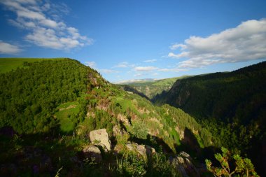 Kuzey Kafkasya 'daki Dzhily-Su Platosu' ndan Pinus kochiana Dağı ile kaplı akşam dağlarının panoraması.                               