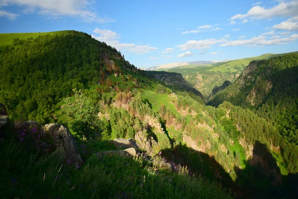 Kuzey Kafkasya 'daki Dzhily-Su platosundan mavi gökyüzüne sahip dağ çamı Pinus kochiana ve huş ağacı Betula Raddeana ile kaplı akşam dağlarının manzarası                               