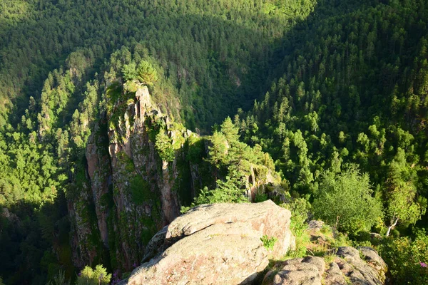 Kuzey Kafkasya 'daki Dzhily-Su Platosu' ndan Pinus kochiana Dağı ile kaplı akşam dağlarının manzarası                              