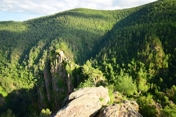 Kuzey Kafkasya 'daki Dzhily-Su platosundan Pinus kochiana ve huş ağacı Betula raddeana ile kaplı akşam dağları panoraması.
