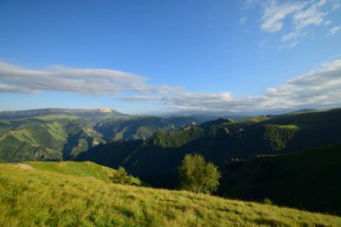 Kuzey Kafkasya dağlarındaki Shidzhatmaz yüksek platosundan Pinus kochiana dağı ve dağ huş ağacı Betula raddeana ile kaplı akşam dağlarının manzarası