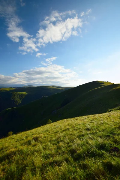 Blick Auf Die Mit Latschenkiefern Bedeckten Berge Und Den Blauen — Stockfoto