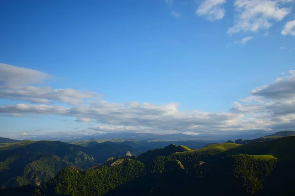 Vue Sur Les Montagnes Soir Couvertes Pins Montagne Pinus Kochiana — Photo