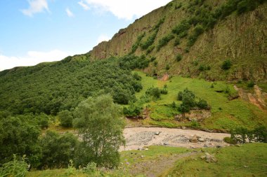  Kuzey Kafkasya 'daki Dzhily-Su geçidinde dağ huş ağacı Betula Raddeana, çam ağacı Pinus kochiana ve Kyzyl-Kol nehri ile mavi gökyüzü manzarası