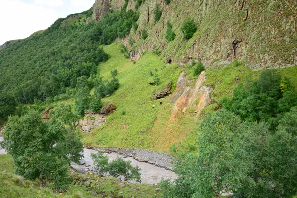 Pohled Kavkazské Hory Modrou Oblohou Horskou Břízou Betula Raddeana Řeka — Stock fotografie