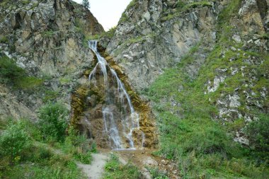 Kuzey Kafkasya 'da yaz mevsiminde Dzhily-Su arazisindeki bitki örtüsü olan bir kayada buzul suyu bulunan Kafkasya şelalesi manzarası.                              