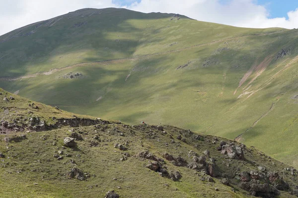 Kuzey Kafkasya Dağlarındaki Dzhily Platosunda Kayalar Otlarla Dolu Yaz Dağlarının — Stok fotoğraf
