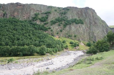 Kuzey Kafkasya 'daki Dzhily-Su geçidinde Kyzyl-Kol nehri ile yamaçlarda ve dağlarda Betula Raddeana ağaçlarının manzarası                               