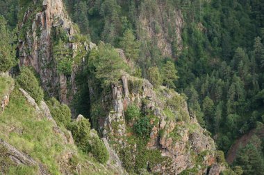 Kafkas yaz dağlarının Panorama 'sı Pinus kochiana çamı ve Kuzey Kafkasya' daki Dzhily-Su platosunda yaz mevsimi açan alp ormanları                               