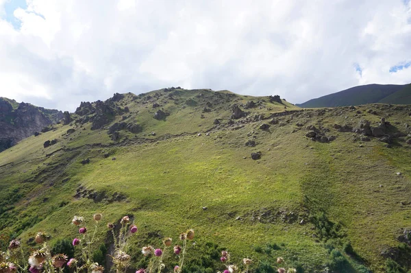 Utsikt Över Sommaren Berg Med Gröna Örter Narzan Valley Dzhily — Stockfoto