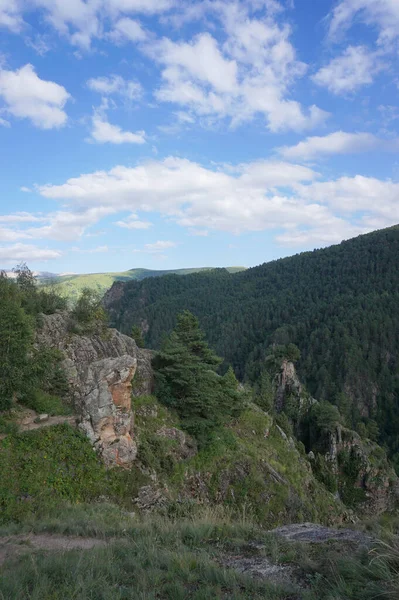 Utsikt Över Kaukasus Bergen Med Gröna Träd Blå Himmel Och — Stockfoto