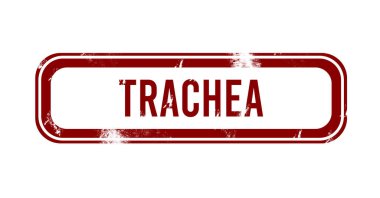 Soluk borusu - kırmızı grunge düğmesi, damga