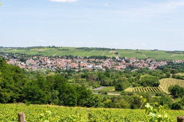 Yaz boyunca Ingelheim, Rhein, Almanya