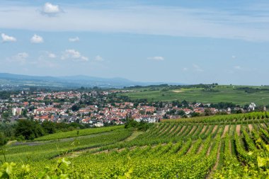 Yaz boyunca Ingelheim, Rhein, Almanya