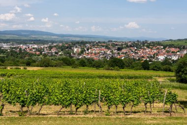 Yaz boyunca Ingelheim, Rhein, Almanya
