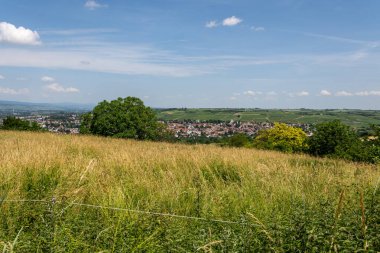 Yaz boyunca Ingelheim, Rhein, Almanya