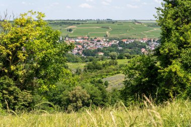 Yaz boyunca Ingelheim, Rhein, Almanya