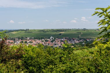 Yaz boyunca Ingelheim, Rhein, Almanya