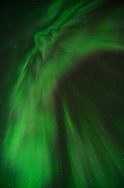 Gece gökyüzünde büyüleyici yeşil aurora ışıkları, büyüleyici, girdap gibi bir desen yaratıyor.