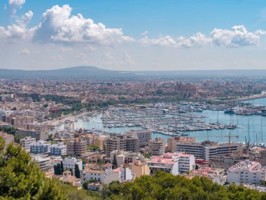 Palma de Mallorca 'nın panoramik manzarası, kayıklarla dolu bir liman, kayan tepeler ve açık mavi bir gökyüzü üzerine kurulmuş,
