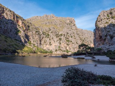 Sa Calobra plajı Mallorca, sakin bir kanyon engebeli uçurumlarla çevrili sakin bir göl, seyrek yeşillik ve yalnız bir ağaç, Majorca