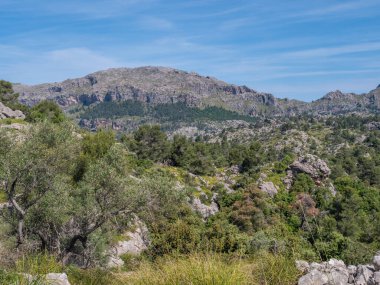 Serra de Tramuntana, Mallorca, kayalık arazili ve yemyeşil, açık mavi gökyüzü altında manzaralı dağ manzarası, Majorca
