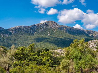 Serra de Tramuntana, Mallorca, parlak mavi gökyüzünün altında yemyeşil yemyeşil, tüylü beyaz bulutlar, Majorca