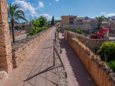 Alcudia, Mallorca, tarihi taş patika antik duvarların yanında uzanır, arka planda bir palmiye ağacı ve modern binalar berrak mavi gökyüzünün altında, Mayorka
