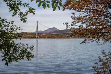 Narvik, Norveç manzarasında Halogalandsbrua süspansiyon köprüsü, sahneyi çevreleyen sonbahar ağaçları ve parçalı bulutlu bir gökyüzünün altındaki uzak dağlara uzanır.