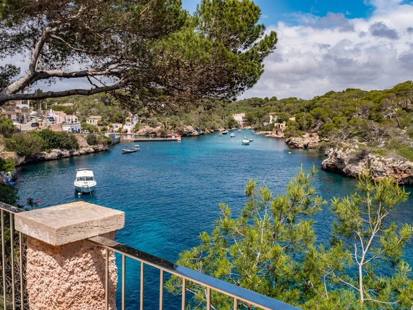 Cala Figuera, Mallorca, temiz mavi suları olan kıyı manzarası, yemyeşil yemyeşil, ve kayıklarla dolu küçük bir liman, bir kaya korkuluğu ve bir çam ağacı ile çerçevelenmiş, Majorca
