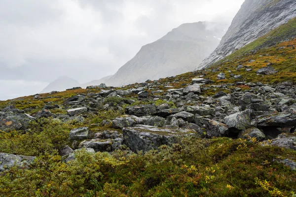 Herfst in Noorwegen — Stockfoto