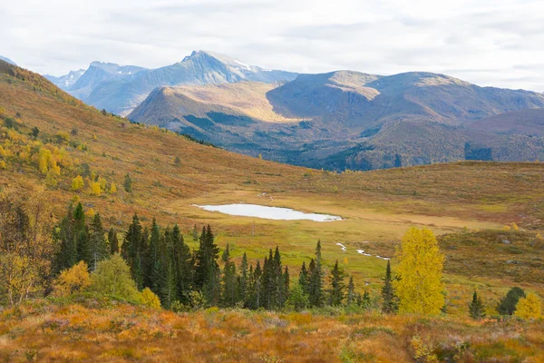 Dağ manzarası, Norveç