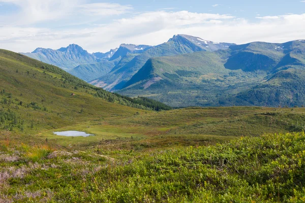 Bergslandskapet, Norge — Stockfoto