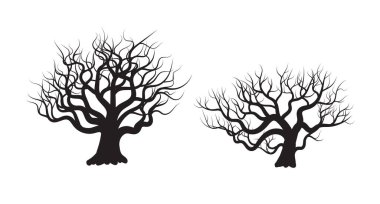 Yaşlı ağaçlar beyaz arka planda, korku ve korkunç ölü ağaçlarda tek başlarına duruyorlar..