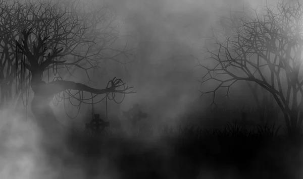 Black White Horror Theme Concept Design Background Creepy Trees Tomb — Stock Photo, Image