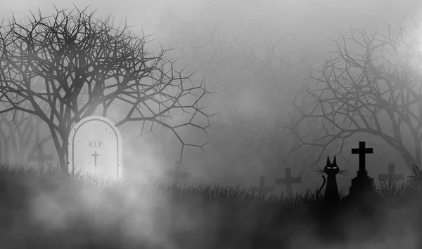 黑暗中的坟场 恐怖而可怕 墓地上有一只黑猫 所有恐怖的森林都笼罩着浓雾 — 图库照片