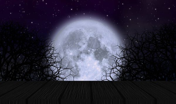Full moon in halloween night with old wooden plate and creepy trees under starry sky. Element of this image furnished by NASA.