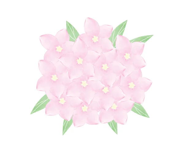 Słodki Różowy Akwarela Kwiaty Bukiet Graficzny Projekt Białym Tle — Wektor stockowy