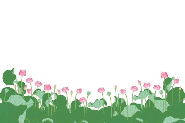 Krajobraz Różowego Pola Lotosu Zielonymi Liśćmi Kwiatami Lotosu Kwitnie Wektorowy — Wektor stockowy