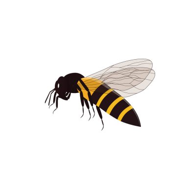 Beyaz arkaplanda Worker bee grafik vektör tasarımı.